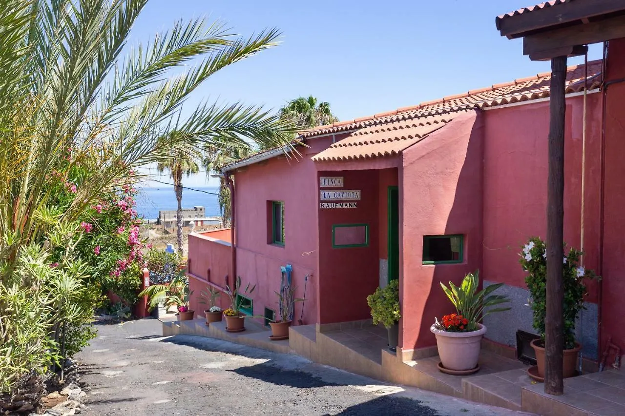 Διαμέρισμα Finca La Gaviota - Las Flores Icod De Los Vinos